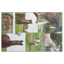 Buscar collage telas Foto