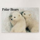 Buscar oso polar puzzles Divertido