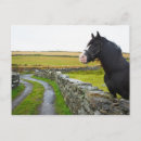 Buscar inglaterra rural postales Pared