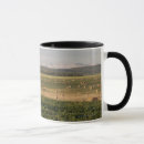 Buscar campo tazas botellas Rural