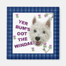 Buscar westie imanes Lindo