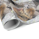 Buscar marmota papel de regalo Ardilla
