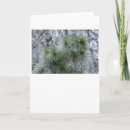 Buscar congelación tarjetas Naturaleza