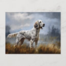 Buscar perros de caza postales Setter