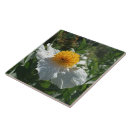 Buscar poppy azulejos Para todos