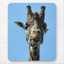 Buscar giraffe alfombrillas de raton Jirafas