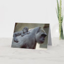 Buscar primate tarjetas Vida silvestre
