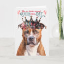 Buscar staffordshire bull terrier tarjetas Pitbull