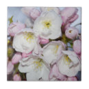 Buscar manzana azulejos Flores de manzana