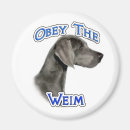 Buscar weimaraner imanes Gris
