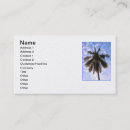 Buscar coco tarjetas de visita Tropical