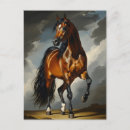 Buscar arabe postales Caballo