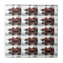 Buscar duck azulejos Pájaros