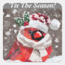 Buscar pañuelo rojo postales Pájaro