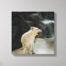 Buscar lobo lienzos Vida salvaje