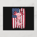 Buscar american flag postales Rosa