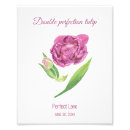 Buscar rosa doble posters Naturaleza