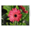 Buscar gotas de rocío postales Hojas