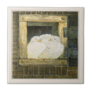 Buscar palomas blancas azulejos Para todos