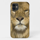 Buscar panthera leo fundas León