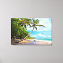 Buscar palmas lienzos Playa