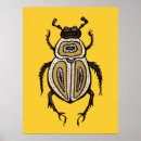 Buscar escarabajo posters Coleóptero