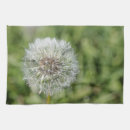 Buscar hierba paños de cocina Blanco