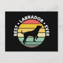 Buscar recuperación postales Perros