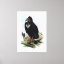 Buscar pájaros vintage lienzos Naturaleza