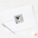 Buscar pug pegatinas Cumpleaños