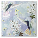 Buscar colibrí azulejos Tropical