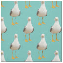 Buscar gaviotas telas General y unisex
