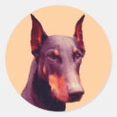 Buscar doberman pegatinas Inscher