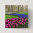 Buscar jacinto chapas Holanda