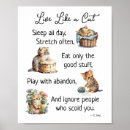 Buscar estre posters General y unisex