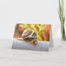 Buscar tardío tarjetas de cumpleaños Caracol