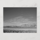 Buscar death valley postales Desierto