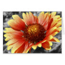 Buscar condolencia postales Flores