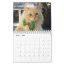Buscar gato calendarios Ojos