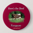 Buscar ganado chapas Bovino