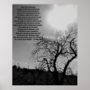 Buscar estilo posters General y unisex