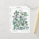 Buscar plantas medicinales postales Para todos