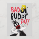 Buscar tweety Gato silvestre