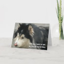 Buscar humor del perro tarjetas Para todos