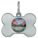 Buscar roca mascotas Paisaje
