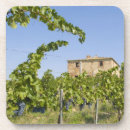 Buscar uvas posavasos Viticultura