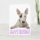 Buscar bull terrier tarjetas Cachorro