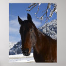 Buscar partes del caballo posters Vertical