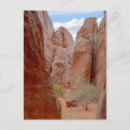 Buscar aleta postales Naturaleza