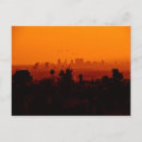 Buscar pájaro en vuelo postales California